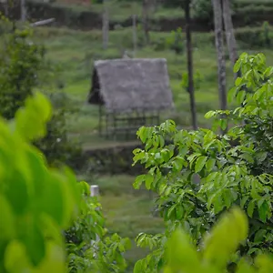 **** Resort Into The Roots Farm India